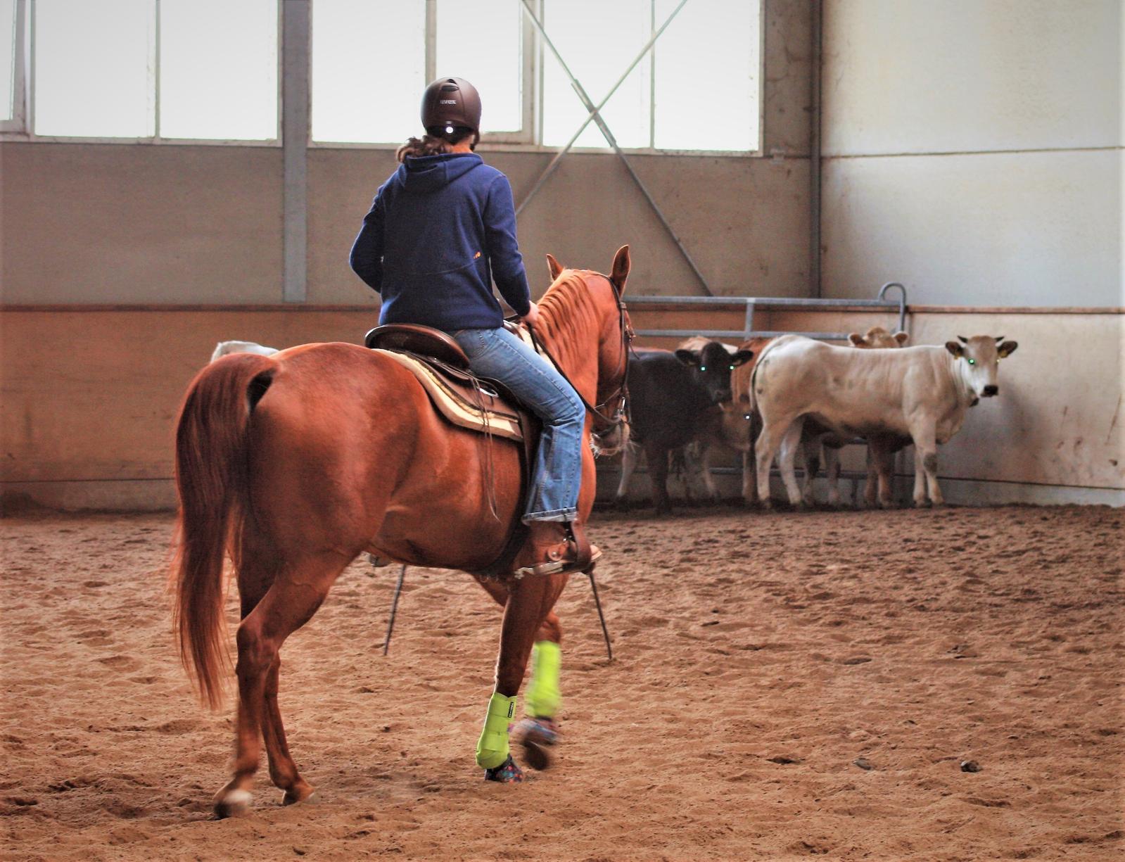 AH JUMPING JAC FLASH