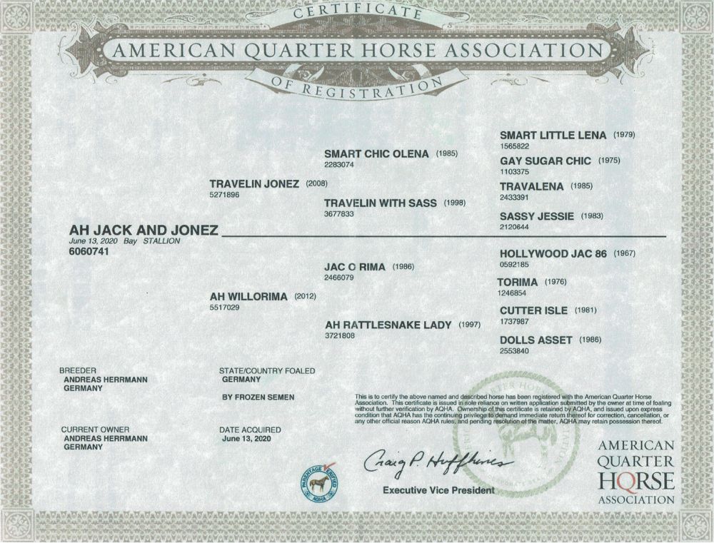 AH JACK AND JONEZ Stammbaum